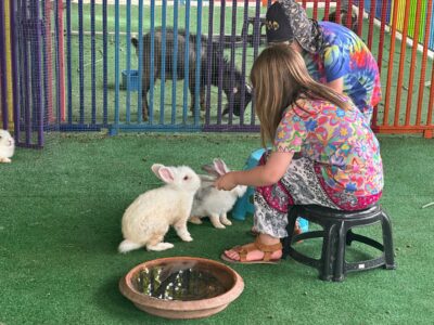 Food as Love: How We Teach Connection Through Cooking