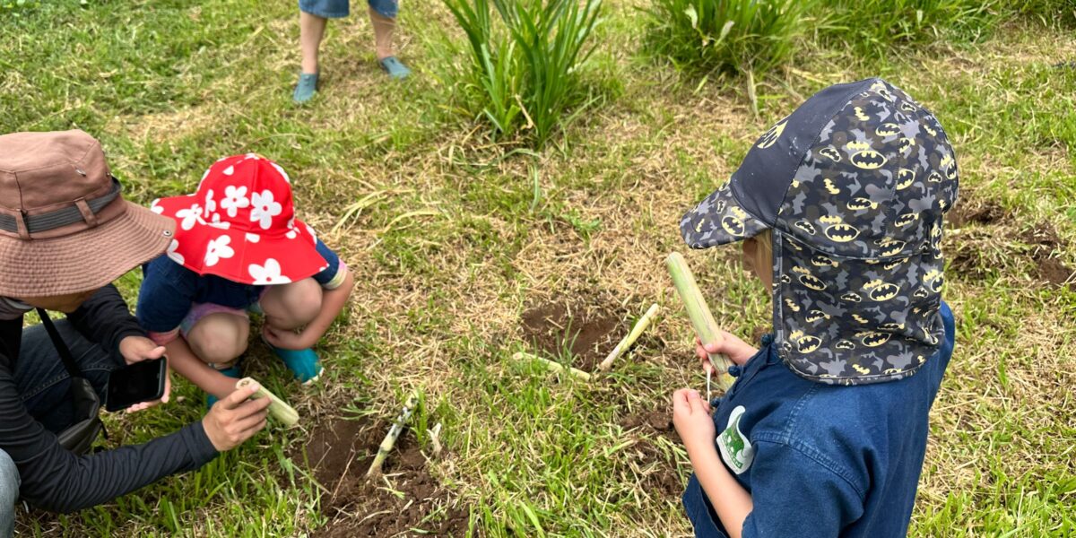 Deregistering From School And Our Journey To Home Education