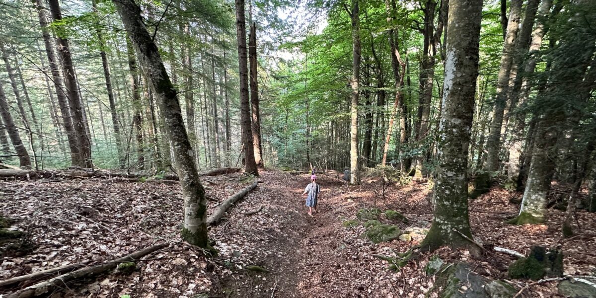 Reprogramming Our Beliefs About Education